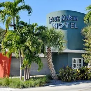Blue Marlin Cayo Hueso