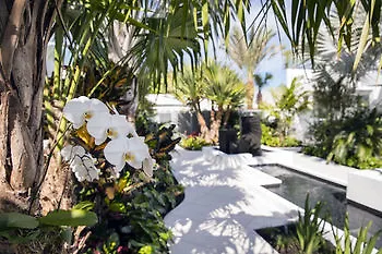 H2O Suites- Adults Only Key West 4*,